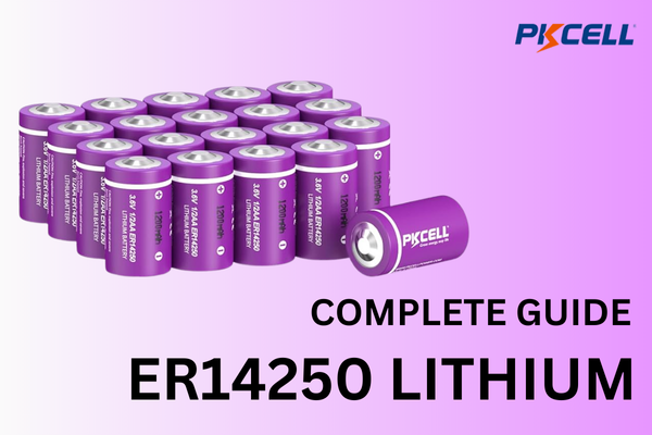 complete guide of ER14250 Battery