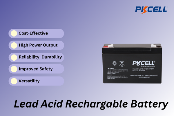 Lead acid battery for alarm system