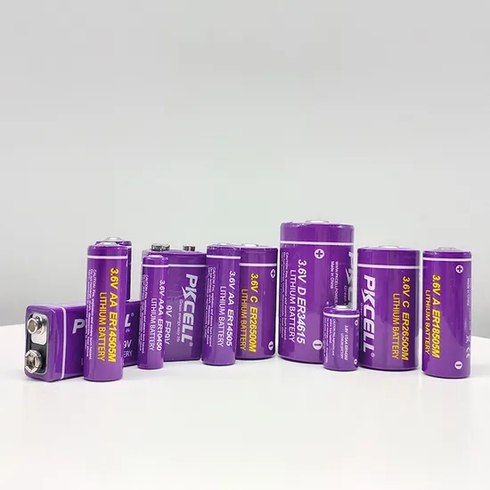 pkcell ER Primary lithium battery