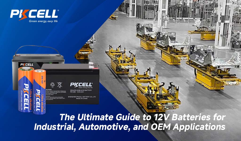 12V Batteries for Industrial, Automotive, and OEM Applications
